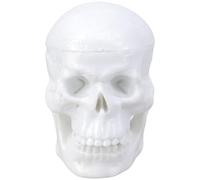 THINCAN Medicals Skull Anatomy Model Figure With Life Like Bone Structure For Student Professionals Artists Learning Aid Classroom Skull Figurine