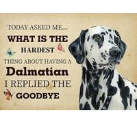 Thing About Having A Dalmatian Dog I Replied The Goodbye Front Doormats Heavy Duty Door Mat Soft Welcome Mat For Entrance Kitchen Front Door 40 X 60Cm