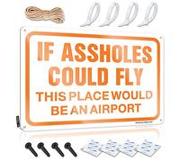 Things For Boys Room If Assholes Could Fly This Place Would Be An Airport Sign Funny Garage Tin Sign Man Cave Decor And Accessori(20X30CM)