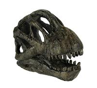 Things2Die4 Brachiosaurus Dinosaur Head Fossil Statue Small