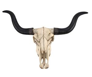 Things2Die4 Huge Long Horn Cow Skull Wall Hanging Longhorn Steer | Bone-Like Detailing, 18.5 Inch High and 7 Inch Deep, Indoor Western Country Decor
