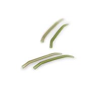 Thinking Anglers Large Noodle Kickers Green