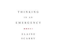 Thinking in an Emergency (Amnesty International Global Ethics Series) (Norton Global Ethics Series): 0