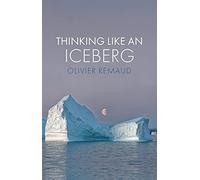 Thinking Like an Iceberg