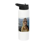 Thinking Monkey Meme Stainless Steel Insulated Water Bottle