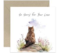 Thinking of You Card for Pet Owner - Thinking of You Gifts - Condolences Card for Loss of Cat - Condolences, Bereavement, Sorry for Your Loss | Blank Inside Envelope