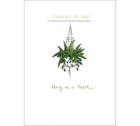 Thinking Of You Card - Hang On In There