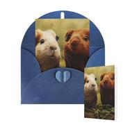 Thinking of You Cards Birthday Greeting Cards with Envelopes Guinea Pig on the Grass Blank Cards for All Occasions Happy Birthday Thank You Note Card for Wedding Invitations Christmas 10 X 15 CM