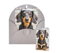 Thinking of You Cards Birthday Greeting Cards with Envelopes Long haired Dachshund Blank Cards for All Occasions Happy Birthday Thank You Note Card for Wedding Invitations Christmas 10 X 15 CM