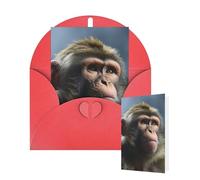 Thinking of You Cards Birthday Greeting Cards with Envelopes Monkey Blank Cards for All Occasions Happy Birthday Thank You Note Card for Wedding Invitations Christmas 10 X 15 CM