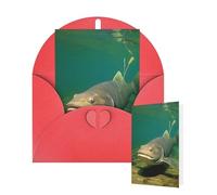 Thinking of You Cards Birthday Greeting Cards with Envelopes Underwater catfish Blank Cards for All Occasions Happy Birthday Thank You Note Card for Wedding Invitations Christmas 10 X 15 CM