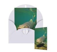 Thinking of You Cards Birthday Greeting Cards with Envelopes Underwater catfish Blank Cards for All Occasions Happy Birthday Thank You Note Card for Wedding Invitations Christmas 10 X 15 CM