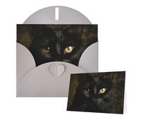 Thinking of You Cards with Envelopes A black cat Greeting Cards for All Occasions Thank You Blank Note Card for Wedding Invitations Valentine's Day Birthday Card 10x15 cm