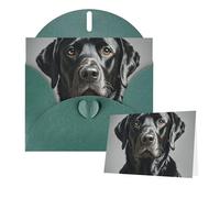 Thinking of You Cards with Envelopes Black Labrador Greeting Cards for All Occasions Thank You Blank Note Card for Wedding Invitations Valentine's Day Birthday Card 10x15 cm