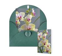 Thinking of You Cards with Envelopes Colorful Orchids Flower Blank Cards for All Occasions Thank You Blank Note Card Greeting Cards for Wedding Bridal Invitations Birthday Party 10 x 15 cm