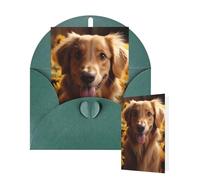 Thinking of You Cards with Envelopes Golden Retriever Sunflower Greeting Cards for All Occasions Thank You Blank Note Card for Wedding Invitations Valentine's Day Birthday Card 10x15 cm
