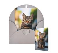 Thinking of You Cards with Envelopes Greetings Card Brown tabby kitten Blank Cards for All Occasions Birthday Thank You Note Card for Wedding Invitations Valentine's Day 10 X 15 CM
