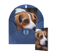 Thinking of You Cards with Envelopes Greetings Card Cute Beagle Blank Cards for All Occasions Birthday Thank You Note Card for Wedding Invitations Valentine's Day 10 X 15 CM