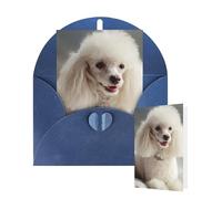 Thinking of You Cards with Envelopes Greetings Card French poodle Blank Cards for All Occasions Birthday Thank You Note Card for Wedding Invitations Valentine's Day 10 X 15 CM