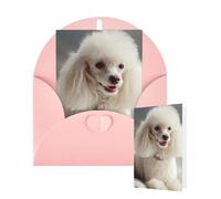 Thinking of You Cards with Envelopes Greetings Card French poodle Blank Cards for All Occasions Birthday Thank You Note Card for Wedding Invitations Valentine's Day 10 X 15 CM
