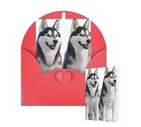 Thinking of You Cards with Envelopes Husky Dogs Blank Cards for All Occasions Thank You Blank Note Card Greeting Cards for Wedding Bridal Invitations Birthday Party 10 x 15 cm