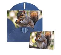 Thinking of You Cards with Envelopes Nut-eating squirrel Blank Cards for All Occasions Sympathy Card Blank Note Card Thank You Greeting Cards for Wedding Invitations Birthday Party