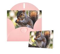 Thinking of You Cards with Envelopes Nut-eating squirrel Blank Cards for All Occasions Sympathy Card Blank Note Card Thank You Greeting Cards for Wedding Invitations Birthday Party