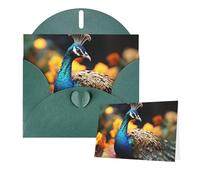 Thinking of You Cards with Envelopes Peacocks Greeting Cards for All Occasions Thank You Blank Note Card for Wedding Invitations Valentine's Day Birthday Card 10x15 cm