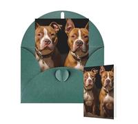 Thinking of You Cards with Envelopes Pitbull Dogs Blank Cards for All Occasions Thank You Blank Note Card Greeting Cards for Wedding Bridal Invitations Birthday Party 10 x 15 cm