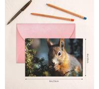 Thinking of You Cards with Envelopes Squirrel in the Forest Greeting Cards for All Occasions Thank You Blank Note Card for Wedding Invitations Valentine's Day Birthday Card 10x15 cm