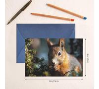 Thinking of You Cards with Envelopes Squirrel in the Forest Greeting Cards for All Occasions Thank You Blank Note Card for Wedding Invitations Valentine's Day Birthday Card 10x15 cm