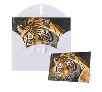 Thinking of You Cards with Envelopes Tiger at rest Blank Cards for All Occasions Sympathy Card Blank Note Card Thank You Greeting Cards for Wedding Invitations Birthday Party