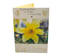 Thinking Of You Photographic Daffodils Design Easter Card
