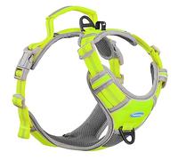 ThinkPet No Pull Harness Breathable Sport Harness with Handle-Dog Harnesses Reflective Adjustable for Medium Large Dogs,Back/Front Clip for Easy Control Neon Green L