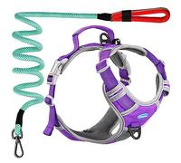 ThinkPet No Pull Harness Breathable Sport Harness with Handle-Dog Harnesses Reflective Adjustable for Medium Large Dogs,Back/Front Clip for Easy Control Purple Harness Leash Set M