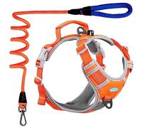 ThinkPet No Pull Harness Breathable Sport Harness with Handle-Dog Harnesses Reflective Adjustable for Medium Large Dogs,Back/Front Clip for Easy Control Orange Harness Leash Set S
