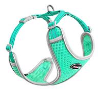 ThinkPet Reflective Breathable Soft Air Mesh No Pull Puppy Choke Free Over Head Vest Ventilation Harness Leash Set for Puppy Small Medium Dogs Teal M