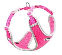 ThinkPet Reflective Breathable Soft Air Mesh No Pull Puppy Choke Free Over Head Vest Ventilation Harness Leash Set for Puppy Small Medium Dogs Rose Red L