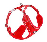 ThinkPet Reflective Breathable Soft Air Mesh No Pull Puppy Choke Free Over Head Vest Ventilation Harness for Puppy Small Medium Dogs (Red,XL)