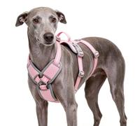 ThinkPet V-Neck 3-Strap Escape-Proof Dog Harness, Size M, Pink