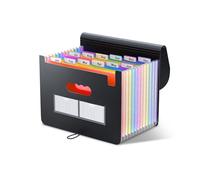 ThinkTex Accordion File Organiser, 12 Pockets Expanding File Folders, Portable Monthly Bill Receipt Organiser, Colorful Tabs, Letter/A4 Size