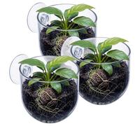 Thinp 3 Pcs Aquarium Plant Holder, Fish Tank Plant Holder Aquarium Plants Cup with Suction Cups Red Worm Fish Feeder Clear Fishes Tank Plants Pot for Home Fishes Tanks Aquascape Decoration