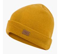 Thinsulate Ski Hat