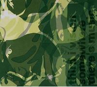 Third I Vision - Somewhere There'S Music