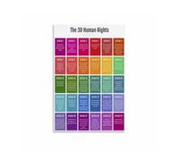 Thirty Articles Poster Human Rights | Civics clubs post global standards during awareness weeks(Framed,16x24inch(40x60cm))