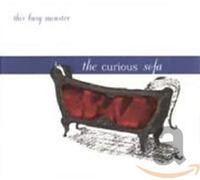 This Busy Monster - The Curious Sofa