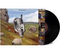 English Teacher - This Could Be Texas [VINYL]