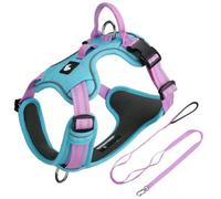 This dog harness and leash set is designed specifically for Bloodhound. It features an adjustable, pull-resistant harness with a 1.5-meter leash. blue XL