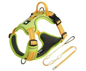 This dog harness and leash set is designed specifically for Lagotto Romagnolo. It features an adjustable, pull-resistant harness with a 1.5-meter leash. green XL