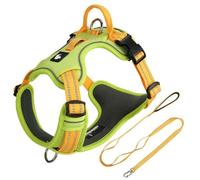 This dog harness and leash set is designed specifically for Scottish Terrier. It features an adjustable, pull-resistant harness with a 1.5-meter leash. green XL